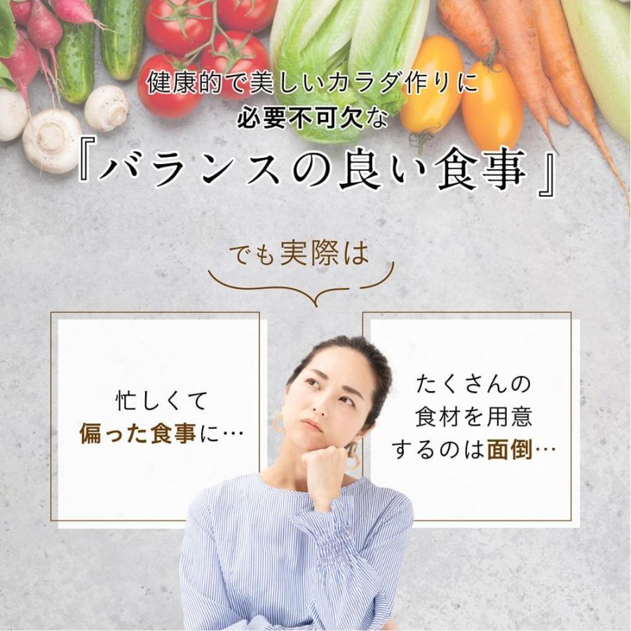 ソイプロテイン 黒糖抹茶味 500g 国産 無添加  プロテイン 完全食 タンパク質 抹茶 スーパーフード 人工甘味料不使用 40代 50代 大地のめぐみ素美人 | Orga Life | 05