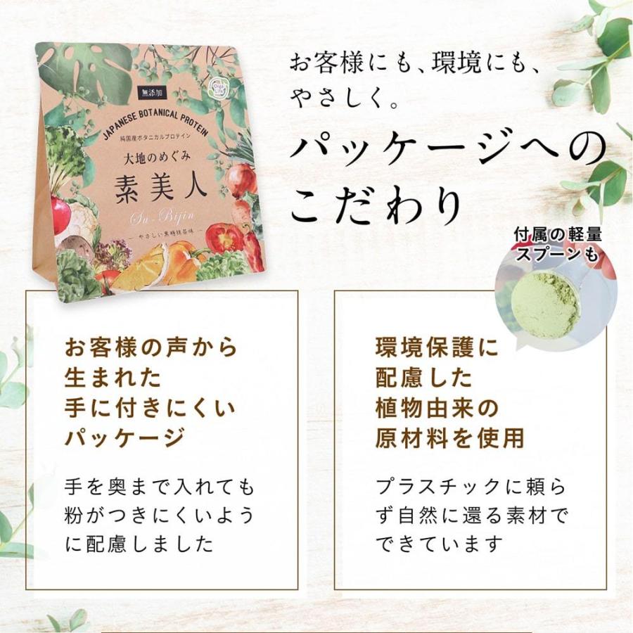ソイプロテイン 黒糖抹茶味 750g 国産 無添加  プロテイン 完全食 タンパク質 抹茶 スーパーフード 人工甘味料不使用 40代 50代 大地のめぐみ素美人の画像