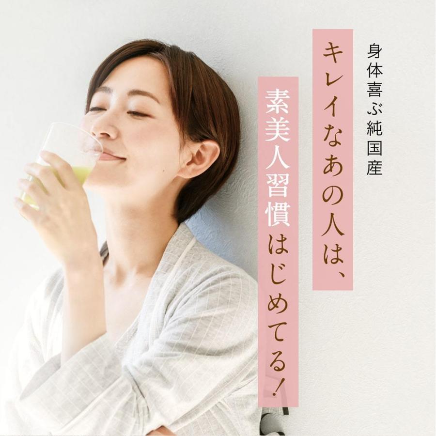 ソイプロテイン 黒糖抹茶味 750g 国産 無添加  プロテイン 完全食 タンパク質 抹茶 スーパーフード 人工甘味料不使用 40代 50代 大地のめぐみ素美人の画像