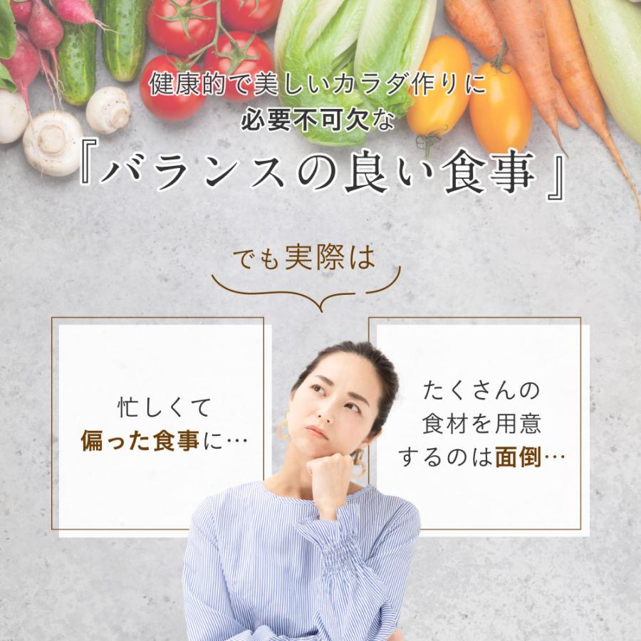 ソイプロテイン まるごといちご味 大地のめぐみ素美人 250g 国産 無添加 女性 の為の完全食 タンパク質 たんぱく質 スーパーフード 送料無料 | Orga Life | 05