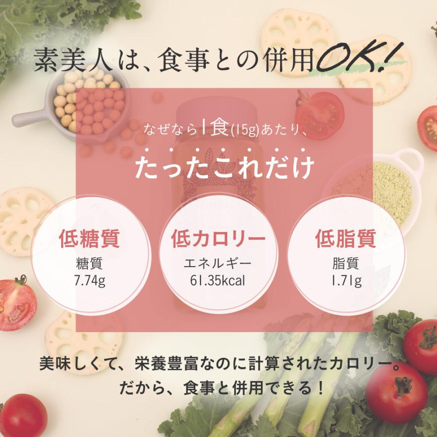 ソイプロテイン まるごといちご味 大地のめぐみ素美人 750g 国産 無添加 女性 タンパク質 完全食 完全栄養食 タンパク質 スーパーフード 送料無料 | Orga Life | 14