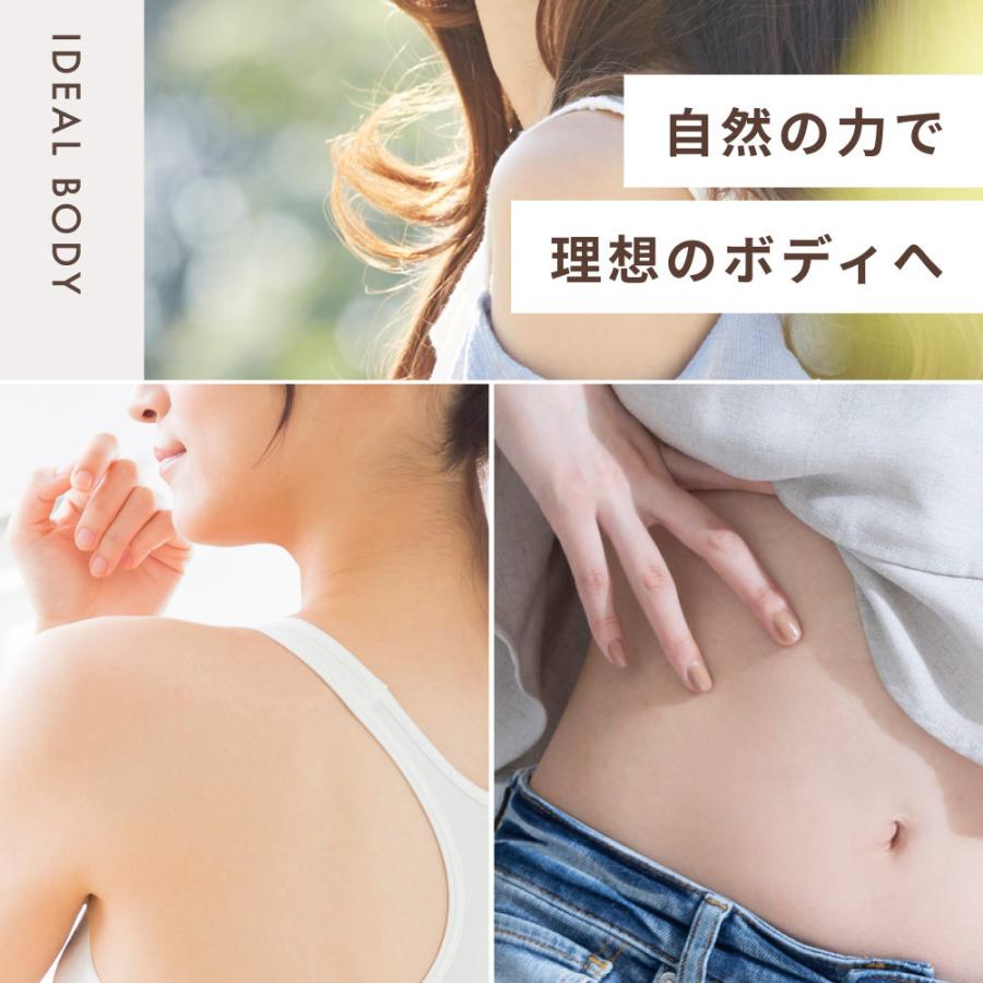 ホワイトチアシード 無農薬 無添加 200g オーガニック 有機 JAS認定 オメガ3 スーパーフード 健康食品 美容 サプリ 食べ物 簡単 栄養 レシピ 食品 サルバチア | Orga Life | 12