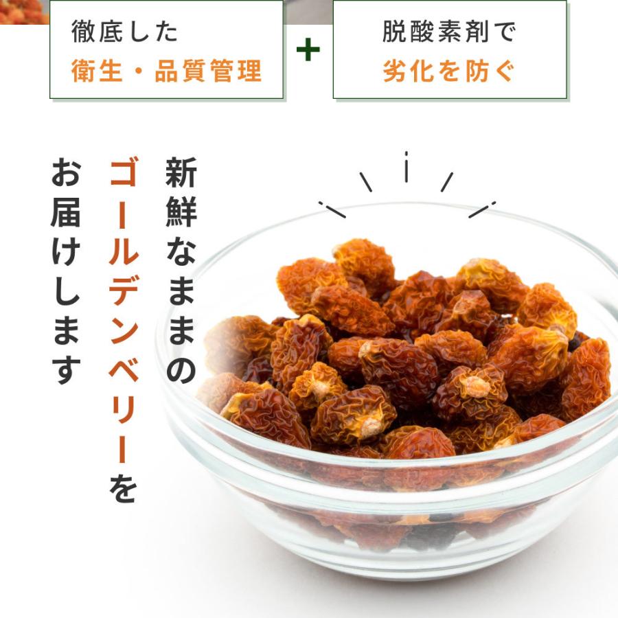 有機ゴールデンベリー Green Dish 600g 300g X 2袋 ドライフルーツ オーガニック 無添加 無農薬 スーパーフード インカ ベリー 送料無料 Ogka0064 自然素材へのこだわりオーガライフ 通販 Yahoo ショッピング