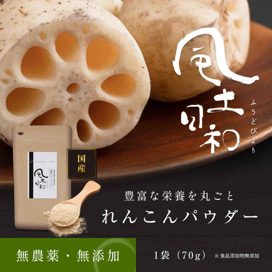 れんこんパウダー 風土日和 70g 1袋 国産 無農薬 粉末 離乳食 れんこん 食物繊維 レンコン パウダー ヨーグルト 熊本県産 蓮根粉 料理｜organickitchen