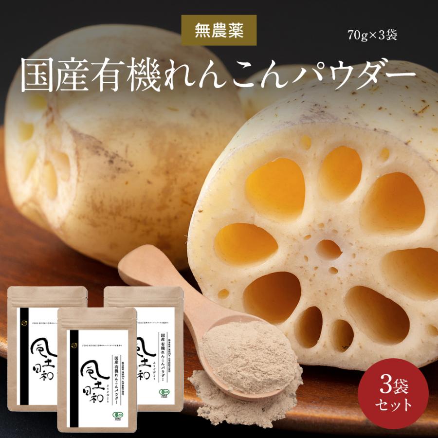 ふるさと割 レンコンパウダー レンコン 蓮根 210g 無農薬 化学肥料不使用 風土日和 熊本県産 送料無料 野菜 根野菜 国産 れんこん 粉末 Wantannas Go Id
