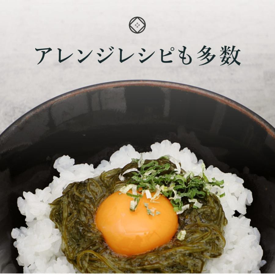 がごめ昆布 40g 天然 細切り 北海道道南黒口浜産 ガゴメ昆布 フコイダン 刻み 昆布 こんぶ コンブ きざみ 昆布 納豆 昆布 | 風土日和 | 17