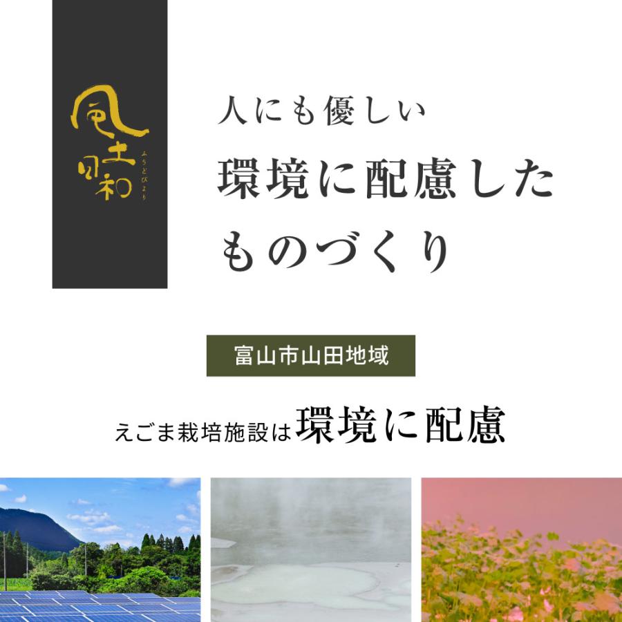 えごま油 国産 添加物不使用 富山県産 110g x3本 低温圧搾しぼり オメガ3 αリノレン酸 エゴマオイル 荏胡麻油 送料無料_15