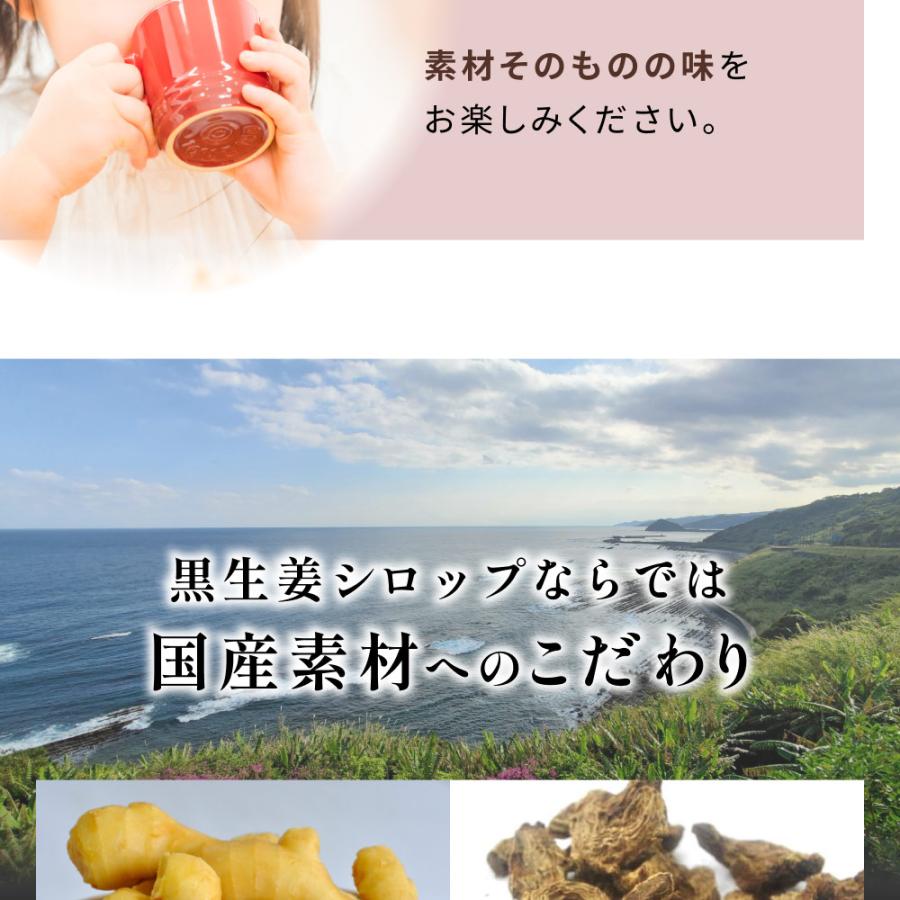 ジンジャーシロップ 国産 無添加 ショウガオール57倍の熟成発酵黒生姜使用 温活 生姜シロップ 白砂糖不使用 保存料 香料未使用 宮崎県産 送料無料 | 風土日和 | 11