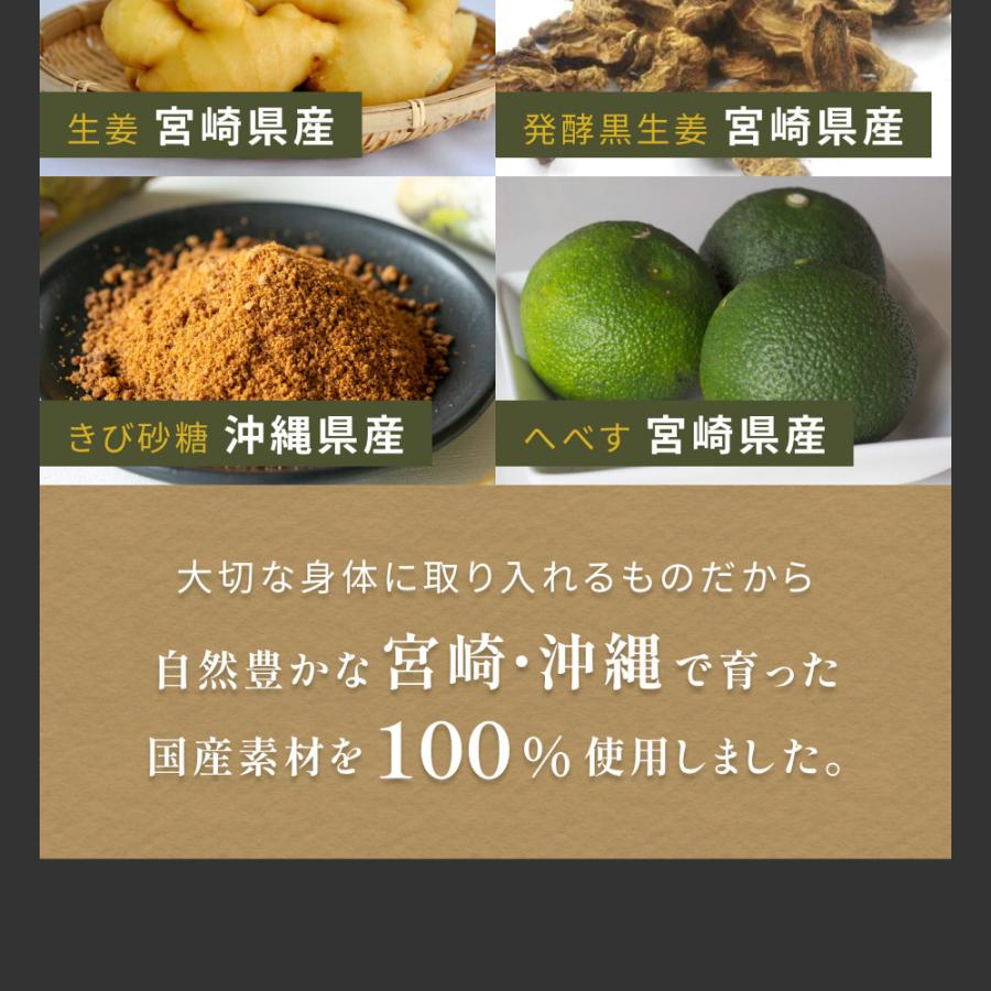ジンジャーシロップ 国産 無添加 ショウガオール57倍の熟成発酵黒生姜使用 温活 生姜シロップ 白砂糖不使用 保存料 香料未使用 宮崎県産 送料無料 | 風土日和 | 12