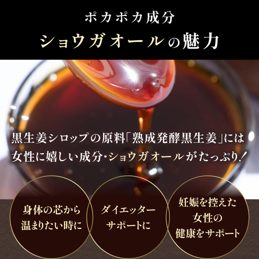 ジンジャーシロップ 国産 無添加 ショウガオール57倍の熟成発酵黒生姜使用 温活 生姜シロップ 白砂糖不使用 保存料 香料未使用 宮崎県産 送料無料 | 風土日和 | 05
