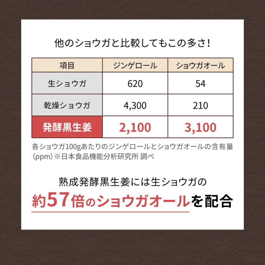 ジンジャーシロップ 国産 無添加 ショウガオール57倍の熟成発酵黒生姜使用 温活 生姜シロップ 白砂糖不使用 保存料 香料未使用 宮崎県産 送料無料 | 風土日和 | 06