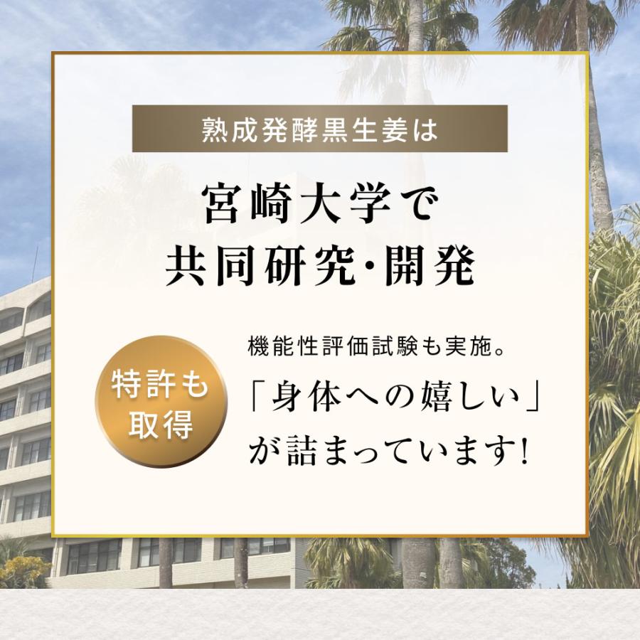ジンジャーシロップ 国産 無添加 ショウガオール57倍の熟成発酵黒生姜使用 温活 生姜シロップ 白砂糖不使用 保存料 香料未使用 宮崎県産 送料無料 | 風土日和 | 07
