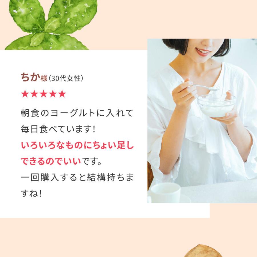 有機 シナモンパウダー 90g 1袋 セイロンシナモン オーガニック  