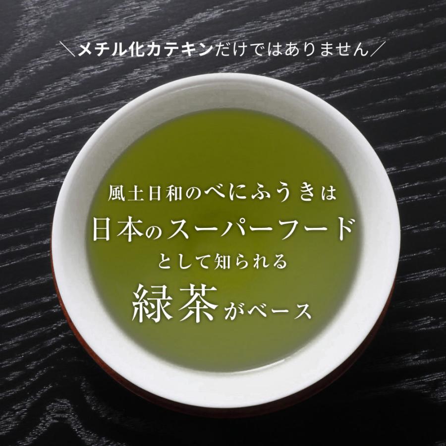 べにふうき茶 粉末 80g（約160杯分） 緑茶 紛茶 日本茶 花粉症 鼻炎 パウダー カテキン 美容 お茶  静岡県産 風土日和 | 風土日和 | 10