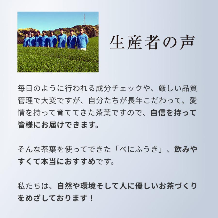 べにふうき茶 粉末 160g（約320杯分） 緑茶 紛茶 日本茶 花粉症 鼻炎 パウダー カテキン 美容 お茶  静岡県産 風土日和｜organickitchen｜16