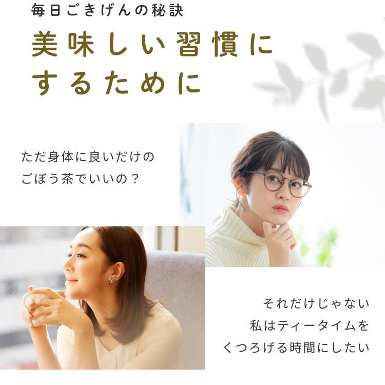 ごぼう茶 国産 ティーパック 水出し 2.5g x50包 ゴボウ ティーバッグ 健康茶 美容茶 食物繊維 イヌリン オーガライフ ドリンク 農薬検査済 特許製法 九州産 | Orga Life | 11