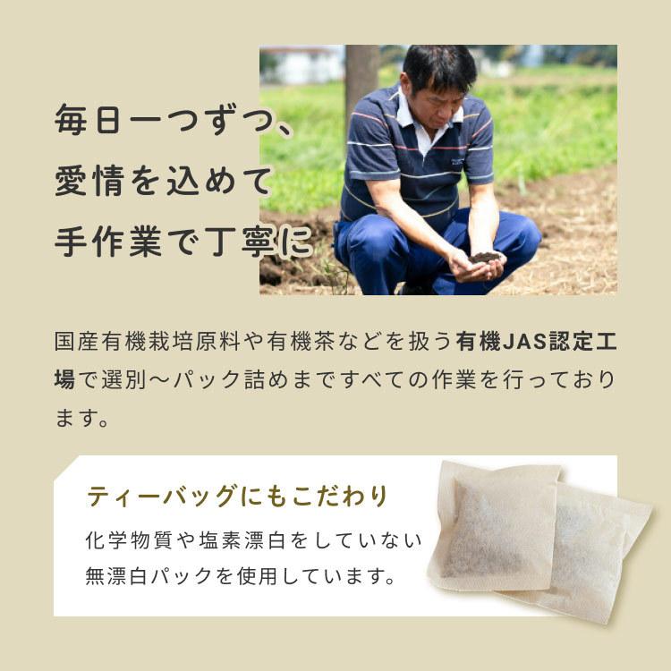 ごぼう茶 国産 ティーパック 水出し 2.5g x50包 ゴボウ ティーバッグ 健康茶 美容茶 食物繊維 イヌリン オーガライフ ドリンク 農薬検査済 特許製法 九州産 | Orga Life | 15