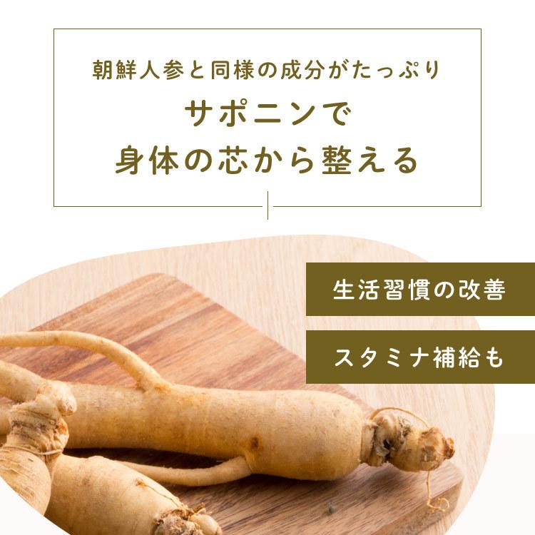 ごぼう茶 国産 ティーパック 水出し 2.5g x50包 ゴボウ ティーバッグ 健康茶 美容茶 食物繊維 イヌリン オーガライフ ドリンク 農薬検査済 特許製法 九州産 | Orga Life | 08