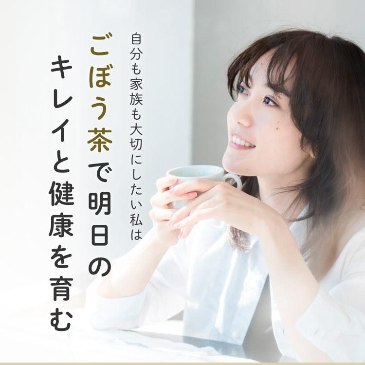 ごぼう茶 国産 ティーパック 水出し 2.5g x100包 ゴボウ ティーバッグ 健康茶 美容茶 食物繊維 イヌリン ドリンク オーガライフ 農薬検査済 特許製法 九州産 | Orga Life | 20