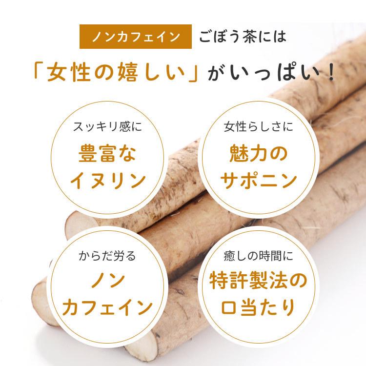 ごぼう茶 国産 ティーパック 水出し 2.5g x100包 ゴボウ ティーバッグ 健康茶 美容茶 食物繊維 イヌリン ドリンク オーガライフ 農薬検査済 特許製法 九州産 | Orga Life | 03