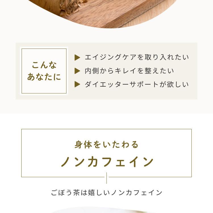 ごぼう茶 国産 ティーパック 水出し 2.5g x100包 ゴボウ ティーバッグ 健康茶 美容茶 食物繊維 イヌリン ドリンク オーガライフ 農薬検査済 特許製法 九州産 | Orga Life | 09