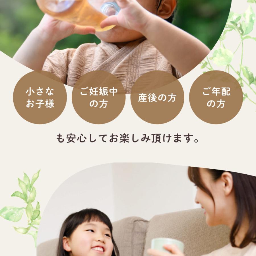 黒豆ごぼう茶 国産 2.5g×50包 ティーバッグ ノンカフェイン 無農薬 深蒸し 食物繊維 イヌリン お茶 飲み物 遠赤焙煎 残留農薬検査済み  健康菜茶 | Orga Life | 13