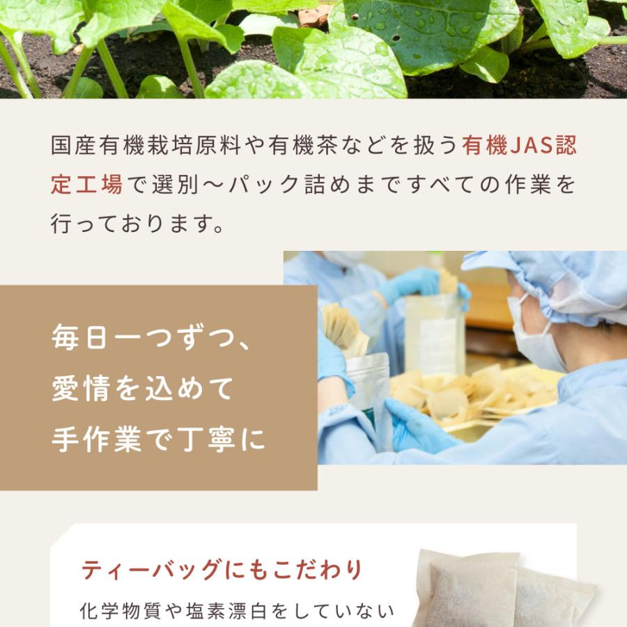 黒豆ごぼう茶 国産 2.5g×50包 2袋 ティーバッグ ノンカフェイン 無農薬 深蒸し 食物繊維 イヌリン お茶 飲み物 遠赤焙煎 残留農薬検査済み  健康菜茶 | Orga Life | 17