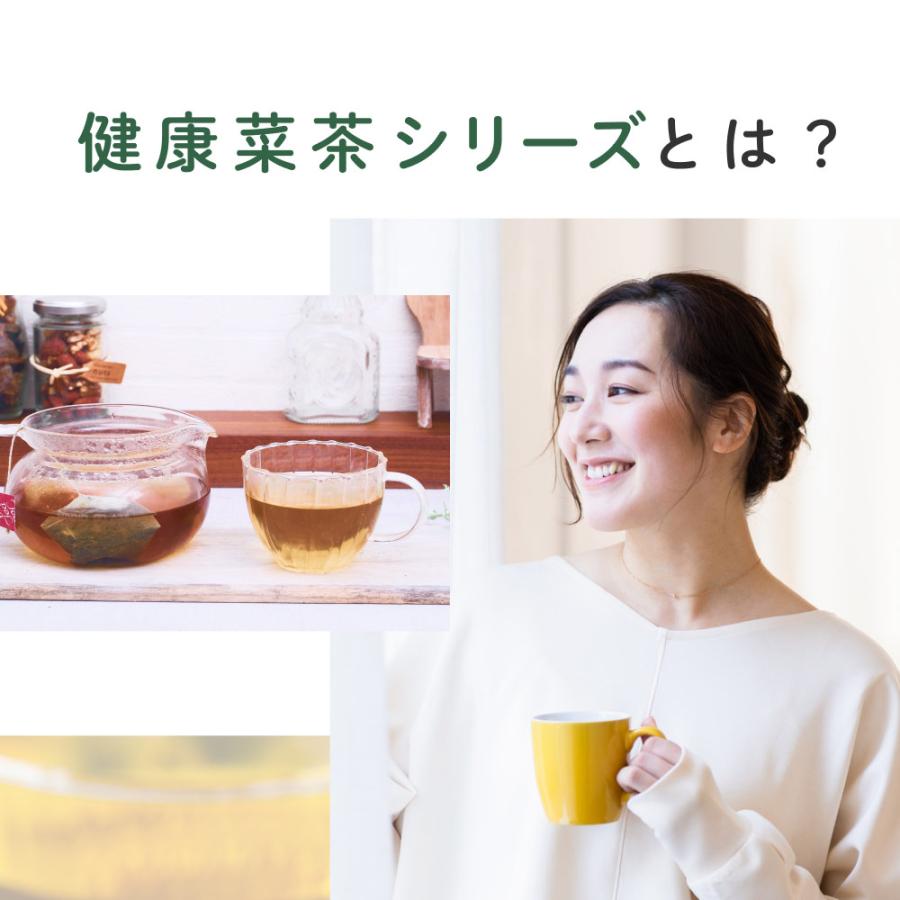 国産 杜仲茶 ティーバッグ 3g×40包 オーガニック 健康茶 ノンカフェイン 日本茶 ケルセチン とちゅう茶 無農薬 無添加 美容 遠赤焙煎 お茶 送料無料 | Orga Life | 17