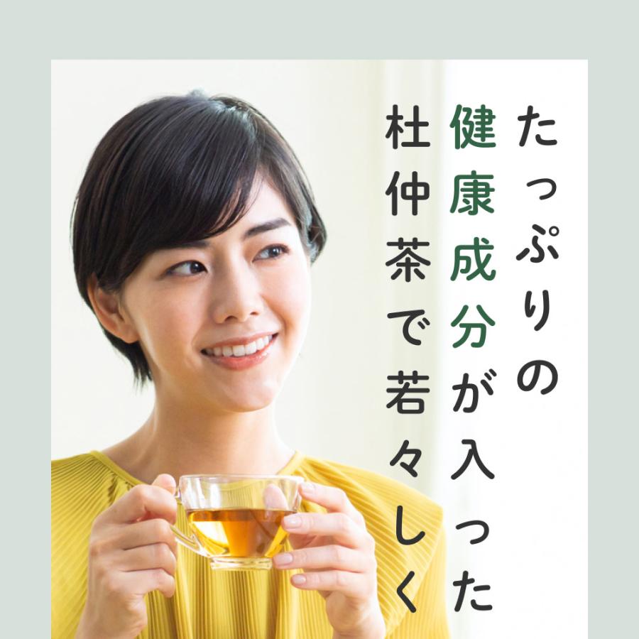 国産 杜仲茶 ティーバッグ 3g×40包 オーガニック 健康茶 ノンカフェイン 日本茶 ケルセチン とちゅう茶 無農薬 無添加 美容 遠赤焙煎 お茶 送料無料 | Orga Life | 02