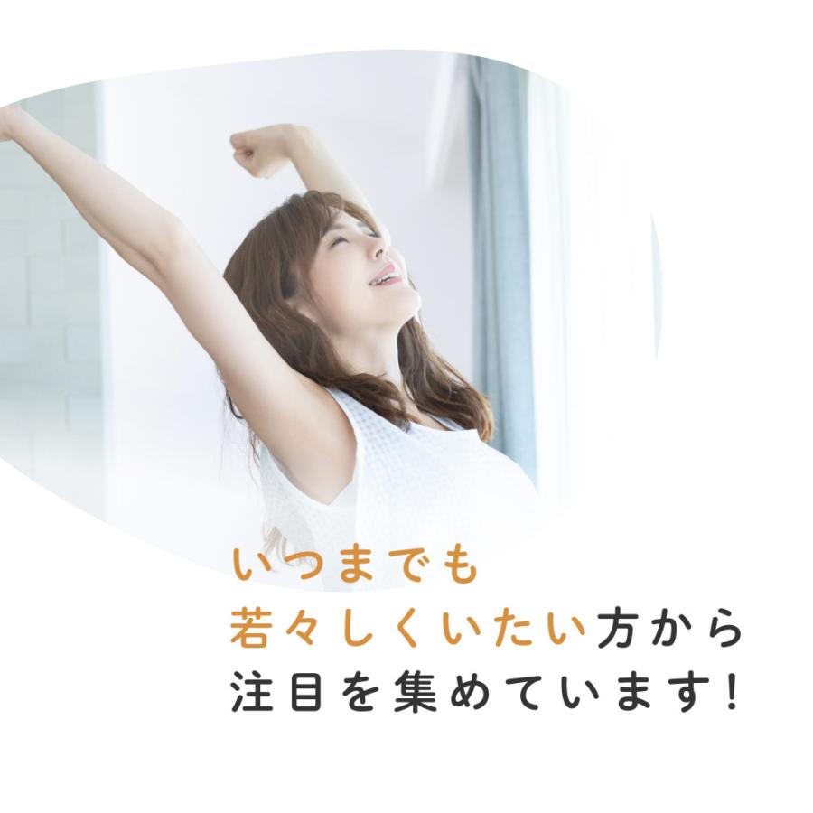 国産 杜仲茶 ティーバッグ 3g×80包 オーガニック 健康茶 ノンカフェイン 日本茶 ケルセチン とちゅう茶 無農薬 無添加 美容 遠赤焙煎 お茶 送料無料 | Orga Life | 10