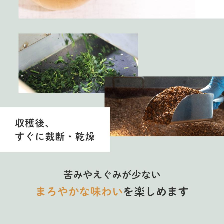 国産 杜仲茶 ティーバッグ 3g×80包 オーガニック 健康茶 ノンカフェイン 日本茶 ケルセチン とちゅう茶 無農薬 無添加 美容 遠赤焙煎 お茶 送料無料 | Orga Life | 08