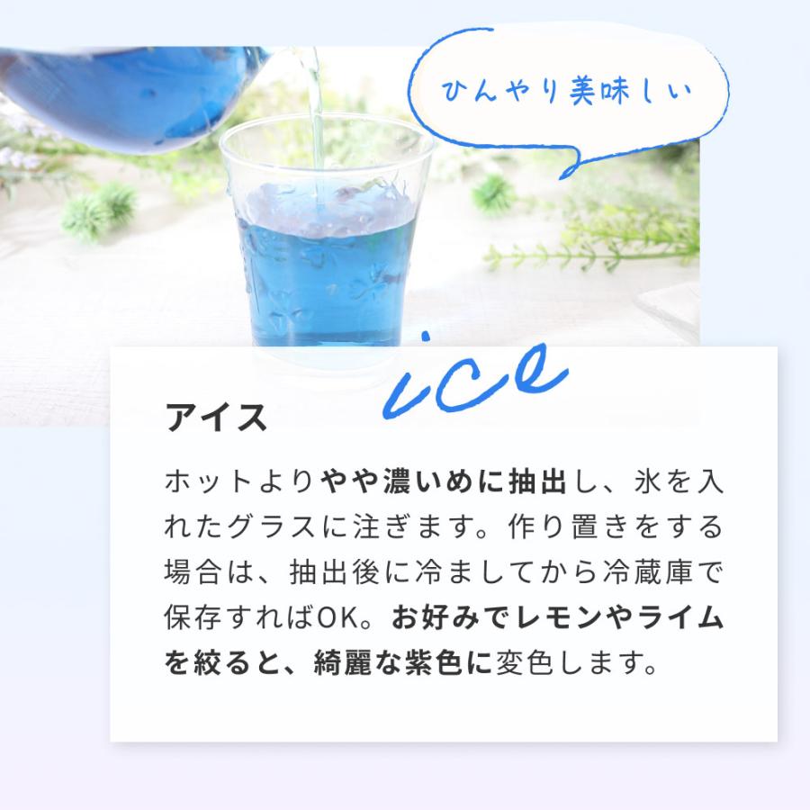 Orga Life バタフライピー 無農薬 オーガニック認定 50g 青いお茶 京都