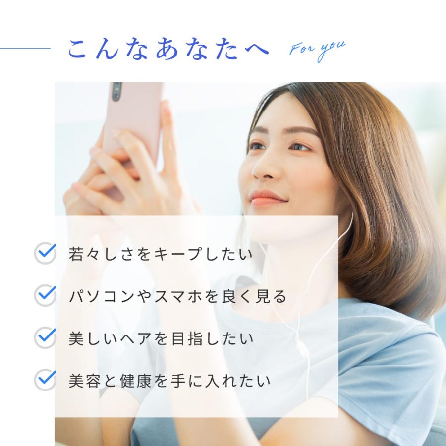 Orga Life バタフライピー 無農薬 オーガニック認定 50g 青いお茶 京都