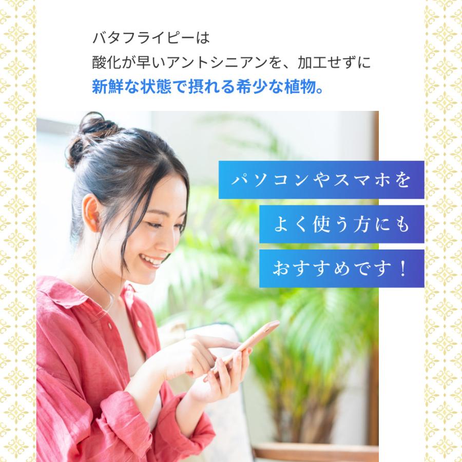 Orga Life バタフライピー 無農薬 オーガニック認定 50g 青いお茶 京都