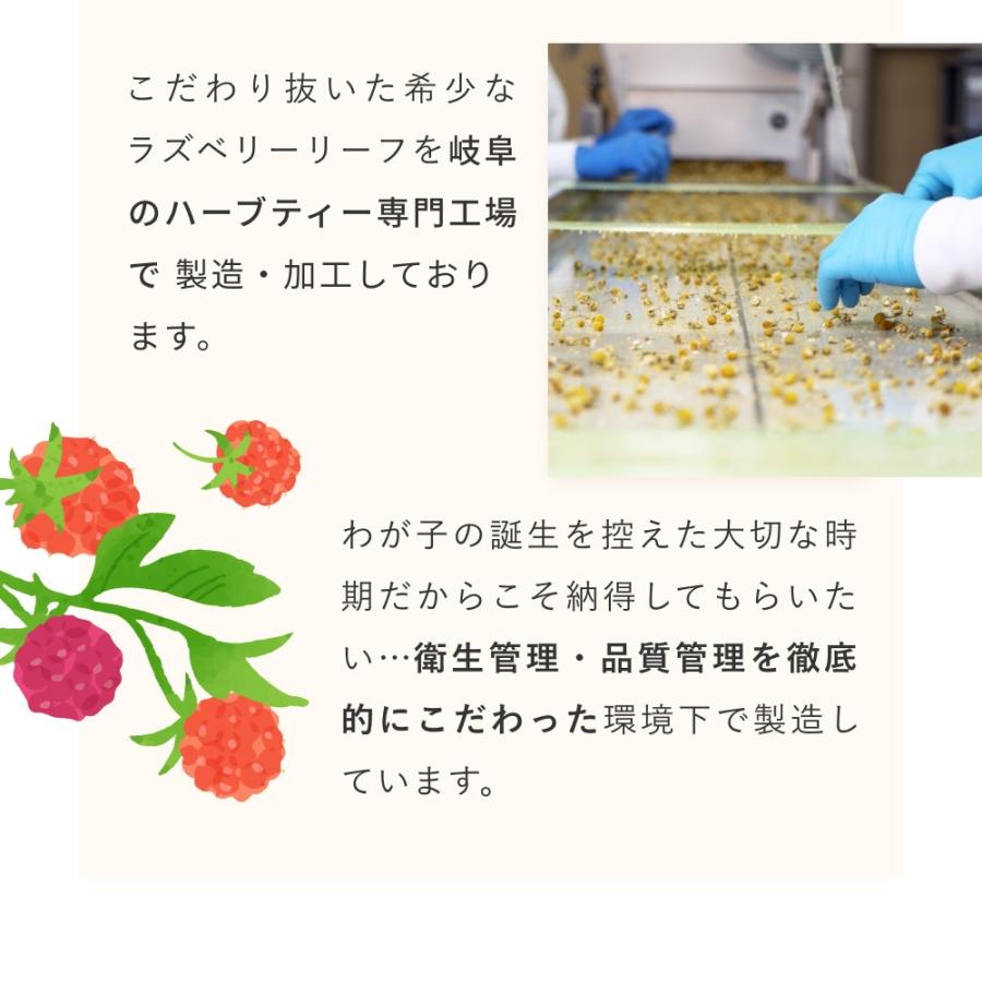 Orga Life ラズベリーリーフティー 有機JAS認定 1.2g×30包 ティー