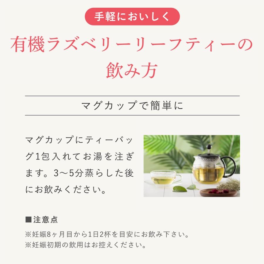 Orga Life ラズベリーリーフティー 有機JAS認定 1.2g×30包 ティー