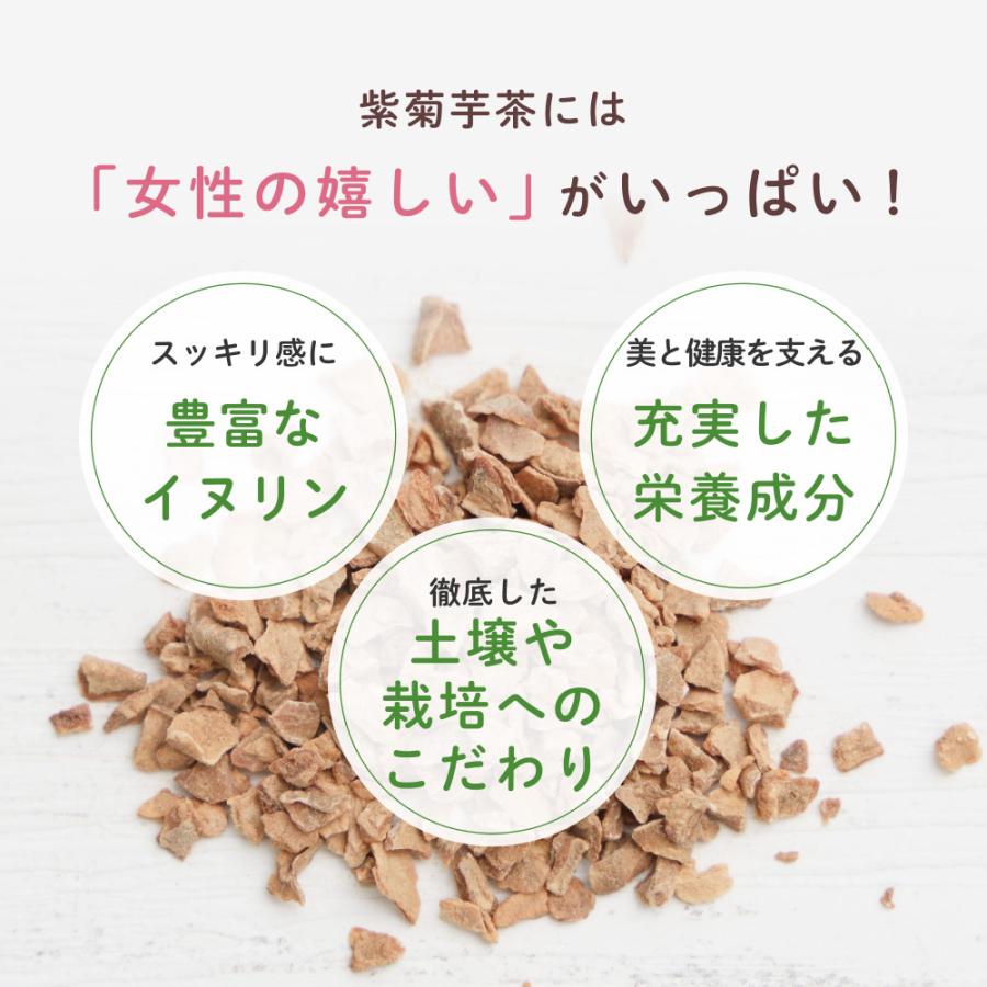 Orga Life 菊芋茶 国産 無農薬 2.2gx30包 健康菜茶 紫菊芋 お茶