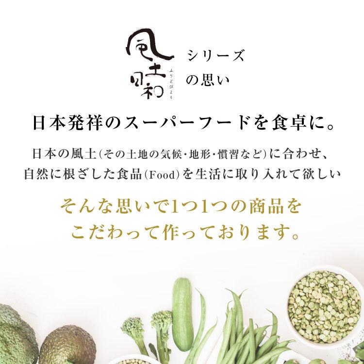 黒にんにく 国産 大粒 送料無料 31粒 約4週間分 150g 170g 黒ニンニク 宮崎 お中元 ギフト Ogkf0013 自然素材へのこだわりオーガライフ 通販 Yahoo ショッピング