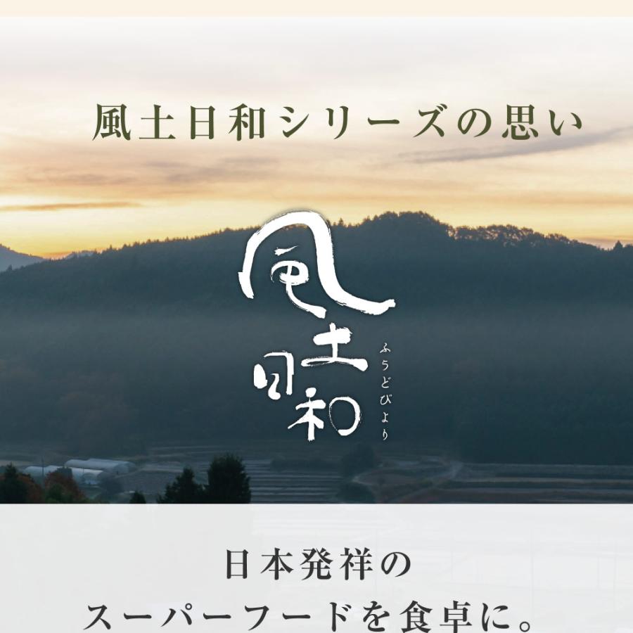菊芋パウダー 国産 無農薬 紫菊芋 風土日和 100g 無添加 イヌリン 糖質 粉末 レシピ 不飽和脂肪酸 ポリフェノール スーパーフード ミネラル 送料無料 | Orga Life | 17