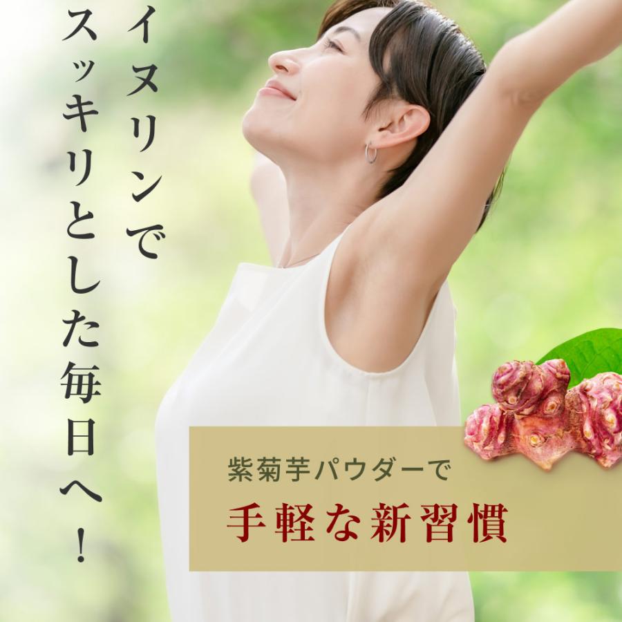 菊芋パウダー 国産 無農薬 紫菊芋 風土日和 100g 無添加 イヌリン 糖質 粉末 レシピ 不飽和脂肪酸 ポリフェノール スーパーフード ミネラル 送料無料 | Orga Life | 19