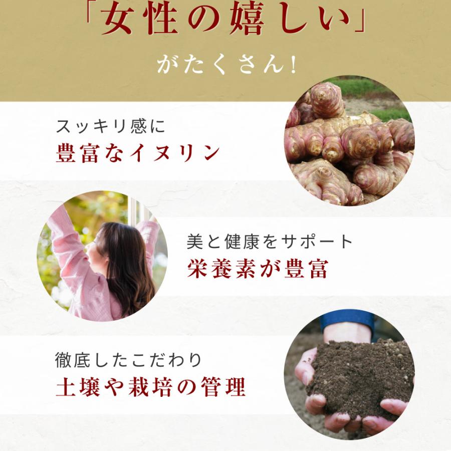 菊芋パウダー 国産 無農薬 紫菊芋 風土日和 100g 無添加 イヌリン 糖質 粉末 レシピ 不飽和脂肪酸 ポリフェノール スーパーフード ミネラル 送料無料 | Orga Life | 02