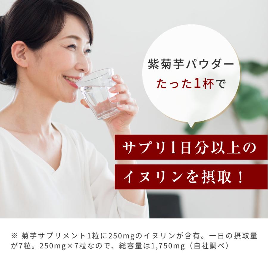 菊芋パウダー 国産 無農薬 紫菊芋 風土日和 100g 無添加 イヌリン 糖質 粉末 レシピ 不飽和脂肪酸 ポリフェノール スーパーフード ミネラル 送料無料 | Orga Life | 06