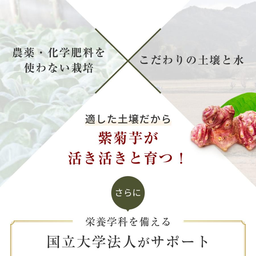 Orga Life 菊芋パウダー 国産 紫菊芋 無農薬 風土日和 100g x2袋 無