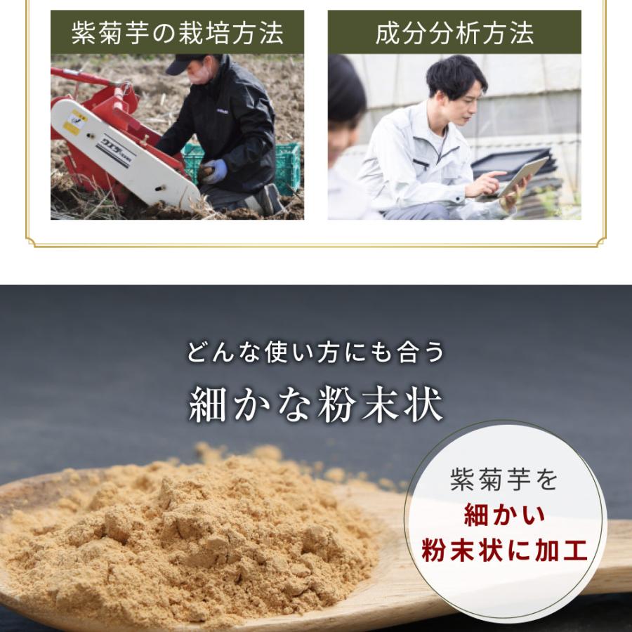 Orga Life 菊芋パウダー 国産 紫菊芋 無農薬 風土日和 100g x2袋 無