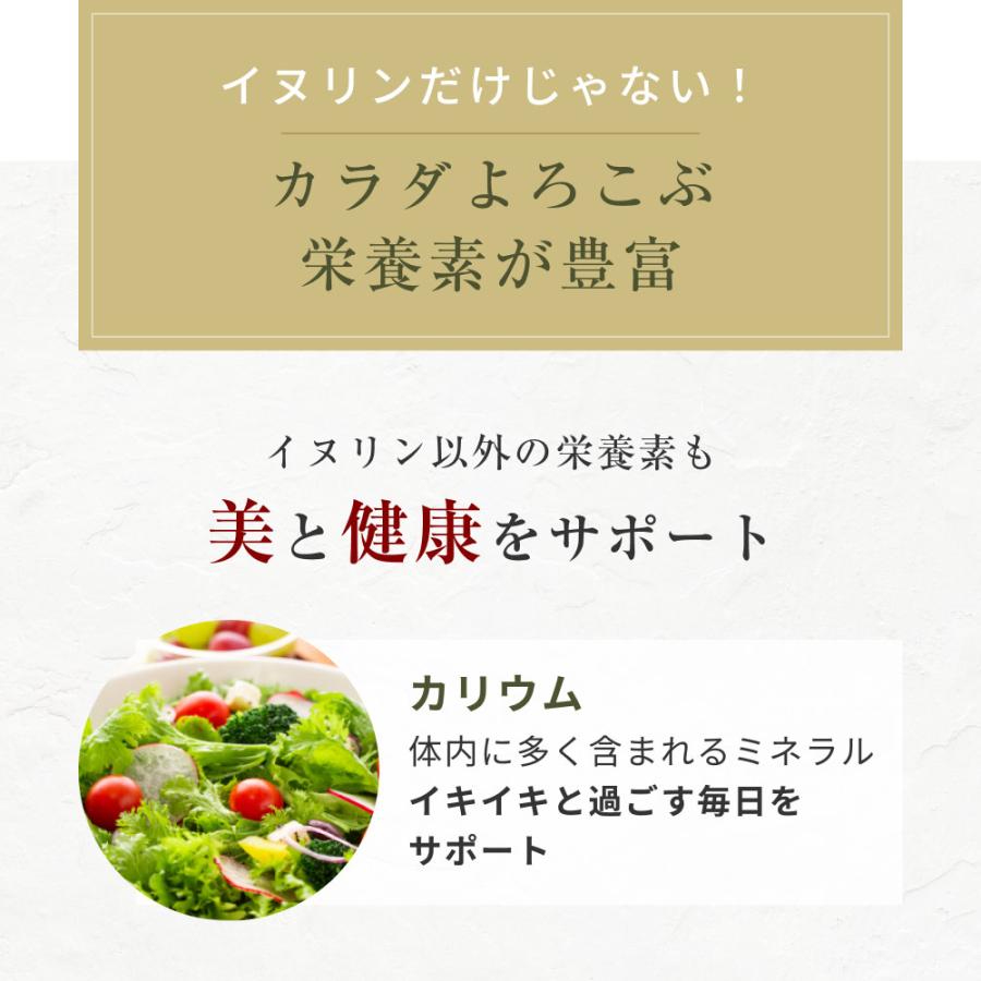 Orga Life 菊芋パウダー 国産 紫菊芋 無農薬 風土日和 100g x2袋 無