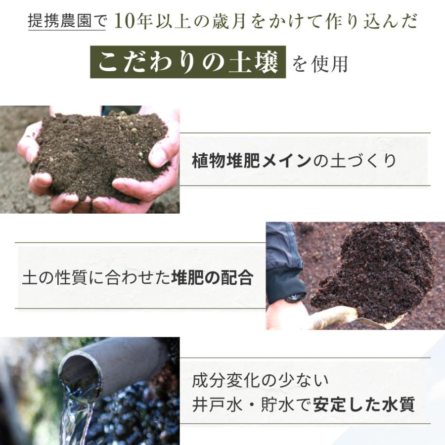 Orga Life 菊芋パウダー 国産 無農薬 紫菊芋 風土日和 100g x3袋 無