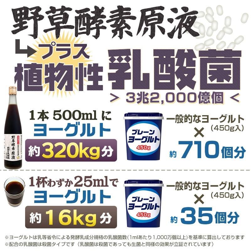 野草酵素 原液 3兆2千億個の乳酸菌入り 植物発酵エキス 酵素 野草酵素 原液 3兆2千億個の乳酸菌入り 植物発酵エキス 酵素
