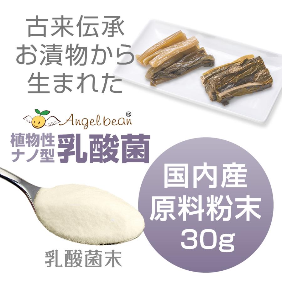 エンジェルビーン 60兆個の乳酸菌 原料100%粉末 国産 植物性 エンジェルビーン 60兆個の乳酸菌 原料100%粉末 国産 植物性