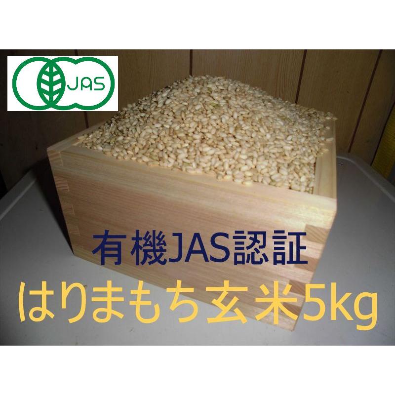 有機JAS認証【無農薬もち米玄米5kg】2025年兵庫県産「はりまもち 
