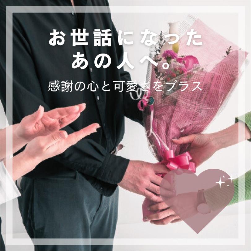 今治タオル（imabari towel） ドーナツハンカチ 6個セット ギフト